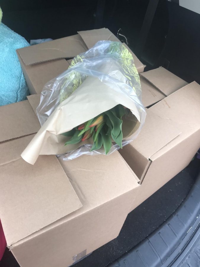 The pre-packed Big Box of groceries (and flowers) from Russos in Watertown, Mass.