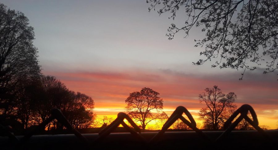 Each night, Carina DeLorio takes a walk around the neighborhood to admire the sky and enjoy the peaceful time.  