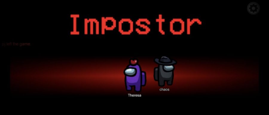 The beginning of the game shows you who your partner imposter is.