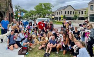 Volunteers and their dogs gather in Highland Park to help residents suffering from trauma with pet therapy.