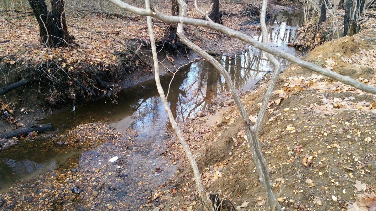 The wetland associated with Pochack Creek in Pennsauken, N.J., may not be eligible for EPA protection on future construction projects because parts of the creek flow through a pipe to the Delaware River. 