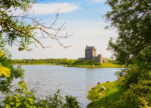 Dunguaire Castle framed by the nature surrounding it, and a view of Galway Bay.