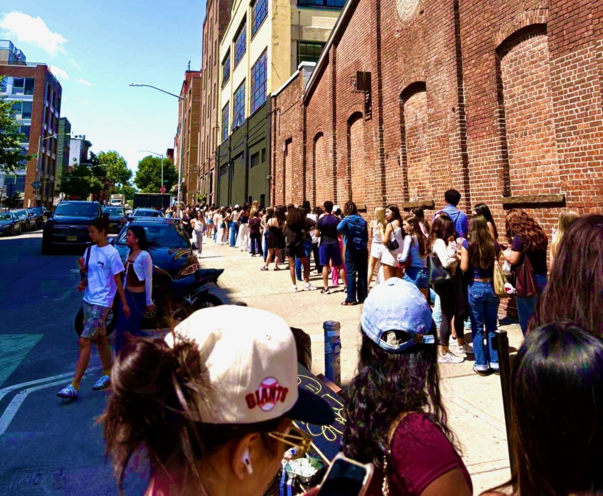 Hundreds of shoppers line up along Berry Street in Brooklyn, eagerly waiting to enter the Edikted warehouse sale on June 20, 2025.